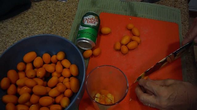 A Delicious Canada Dry Ginger Ale With Fresh Kumquats Drink