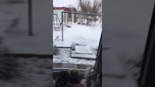 27 НОЯБРЯ!!В Крыму это редкость смотреть онлайн