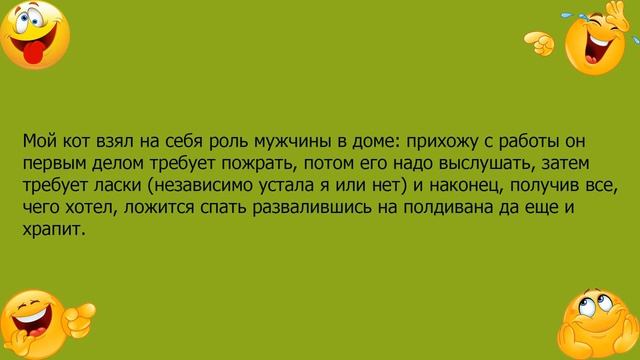 Анекдот про то как кот взял на себя роль мужчины смотреть онлайн