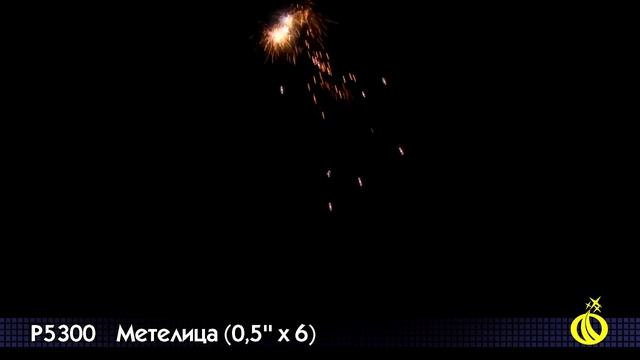 МЕТЕЛИЦА P5300 смотреть онлайн