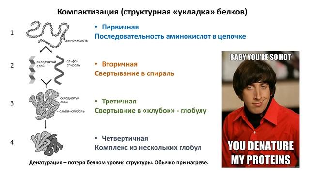 1. Химия клетки Неорганика, Углеводы, Жиры, Белки (9 класс) биология, подготовка к ЕГЭ и О смотреть онлайн