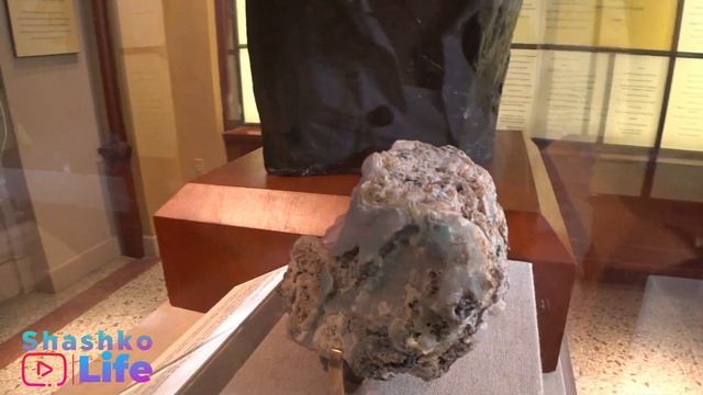 ВАШИНГТОН. Музеи и мемориалы. Кафедральный собор. Розыгрыш призов смотреть онлайн