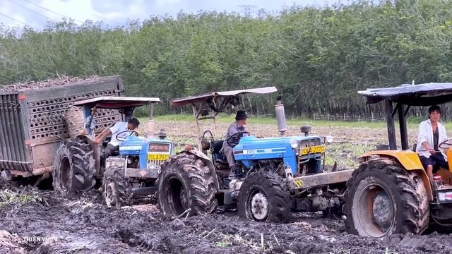 Máy Cày Kéo Lầy Đi Vào Lịch Sử Dàn Ford 8 Chiếc Và 1 Chiếc Someca Chỉ Có Ở Tây Ninh, Thiện Vũ TV смотреть онлайн