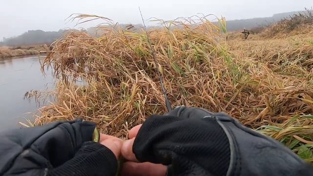 Река, у СТАРОЙ ДЕРЕВНИ, раздаёт щуку. Рыбалка на спиннинг, ловля в 2021 смотреть онлайн