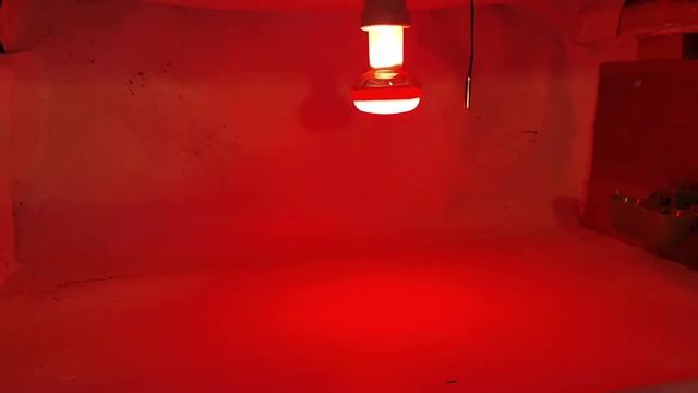 Клетки для перепелов. Обогрев, освещение, кормушки.клетки для птиц смотреть онлайн