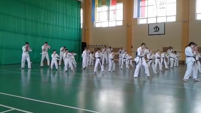 Аттестация на пояс КУДО! смотреть онлайн