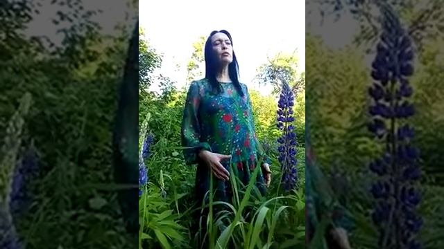 "Мы русские люди." Геннадий Шеховцов(1957-2020)!!! смотреть онлайн