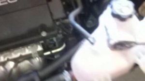 Chevrolet Aveo: замена масла и масляного фильтра