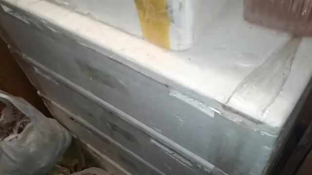 Дендробена, навозные черви, опарыш. Обзор и фасовка для магазинов смотреть онлайн