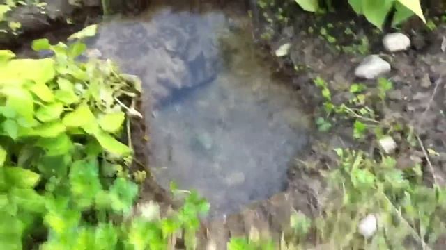 Вот такой прикол у меня в огороде смотреть онлайн