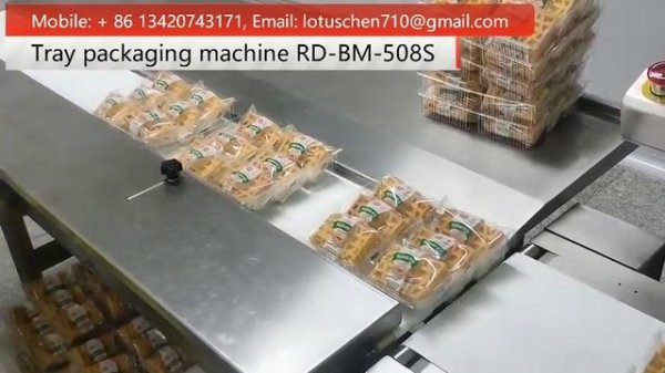 WAFER PACKAGING MACHINE RD BM 508S, Waffer packaging machine, waffle packaging line, biscuit machin