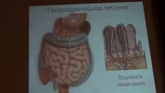 Коло Вада. Бутакова О. А.
