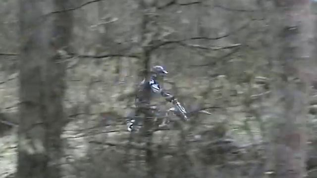 Training in Nunspeet 2005 - Honda CR 500 CR500 motorcross mx motocross remy aust смотреть онлайн