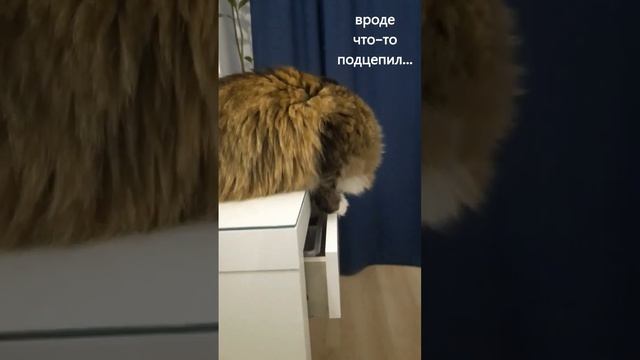 Яша ищет пилочку смотреть онлайн