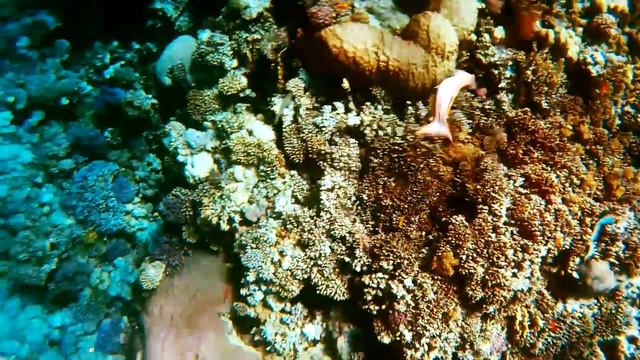 №7 Рыбалка из воды Две подряд и побег Two fish in a row and escape смотреть онлайн