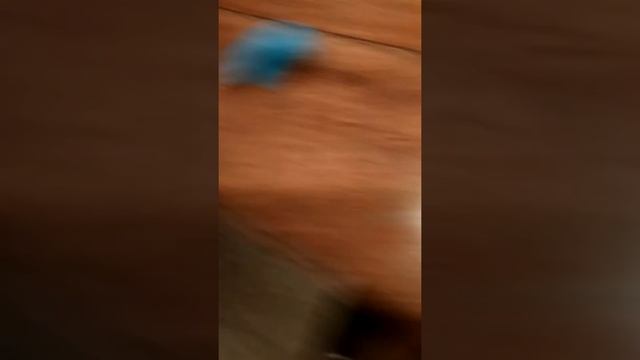 Как сделать из пластилин из флагом шведская смотреть онлайн