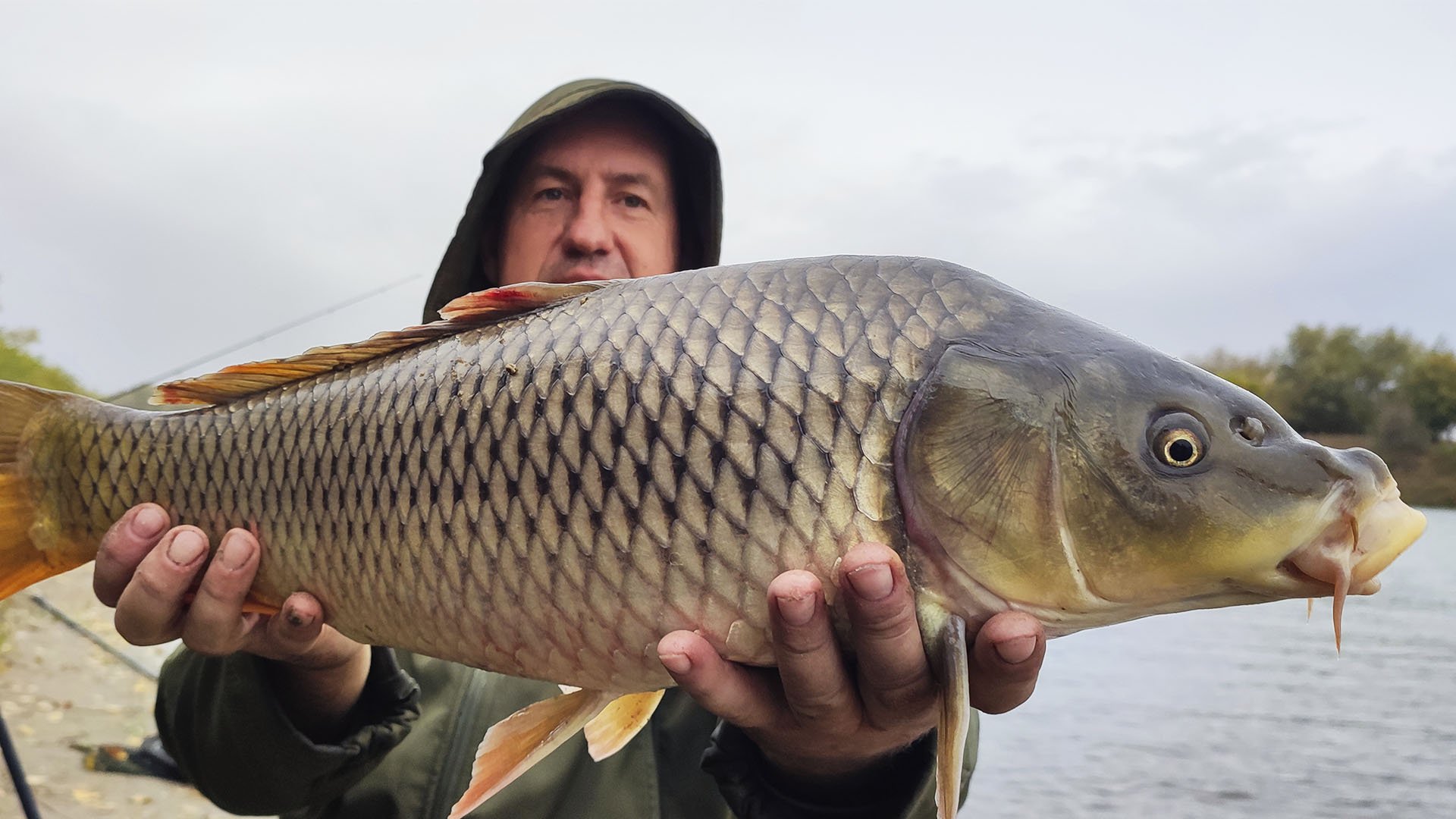 Дикие паравозы Сазана. Рыбалка поздней осенью. Рыбалка в Астрахани 2023. смотреть онлайн