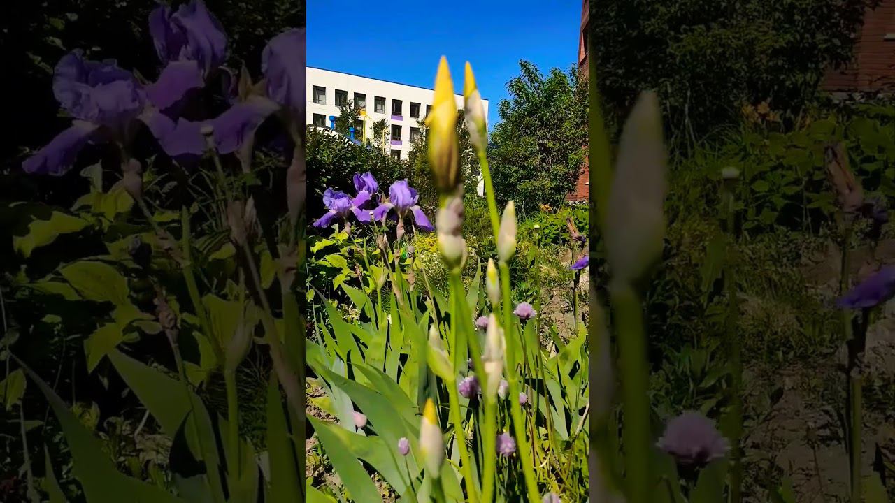 Жизнь коротка, но прекрасна