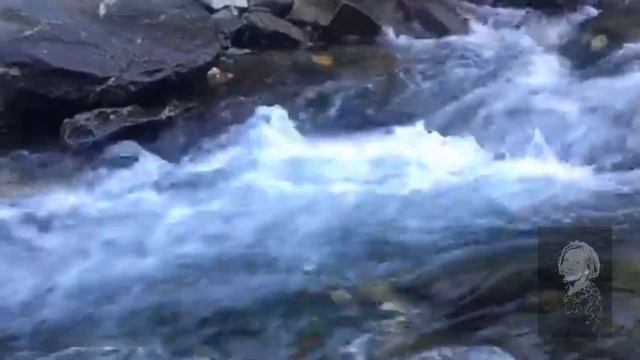 ВОДА УСПОКОИТ НАШИ МЫСЛИ И ДАСТ НАМ СИЛЫ! ТРАНСФЭГЭРАШ РУМЫНИЯ. смотреть онлайн