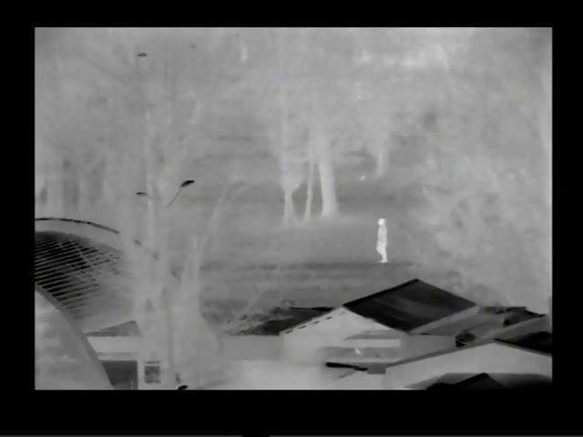 Тепловизор ПЕРГАМ РТР-225М для охраны периметра, что видит тепловизор смотреть онлайн