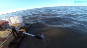 ЭКСПЕРИМЕНТ! КАТЕР-ПЛОТ ИЗ ПЛАСТИКОВЫХ КАНИСТР ИСПЫТАНИЕ