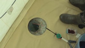 РЫБАЛКА 2019 на НОВЫЙ ГОД или КИВОК АРБАЛЕТ ТВОРИТ ЧУДЕСА