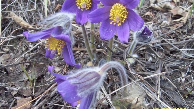 90 летие Бодайбинского района 5г смотреть онлайн