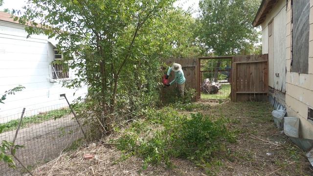 This BACK YARD was too OVERGROWN for their RELATIVE to handle so I did it for FREE смотреть онлайн