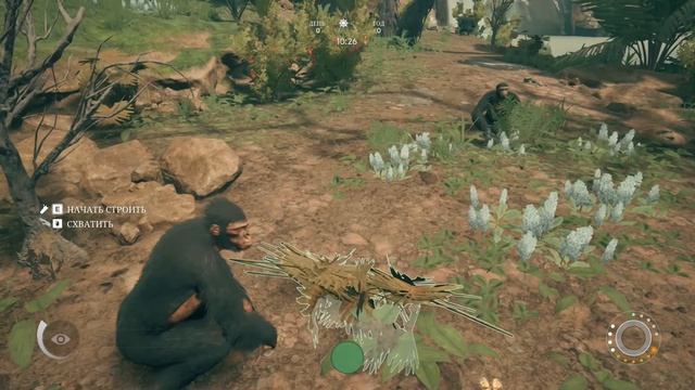 КАК ОБУСТРОИТЬ МЕСТО ДЛЯ СНА --- Ancestors: The Humankind Odyssey --- ГАЙД #1 смотреть онлайн