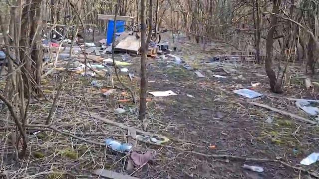 Записки вечного странника. Хроника Торонто. Апрель 2021 смотреть онлайн