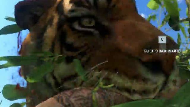 Far Cry 3 Смертельные атаки животных смотреть онлайн
