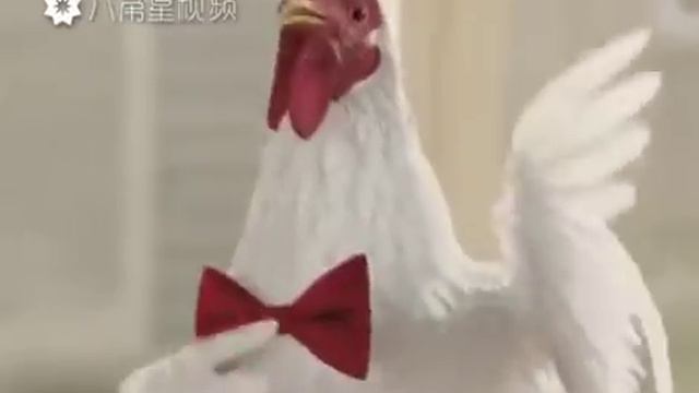 Как китайцы отмечают новый год))))))) смотреть онлайн