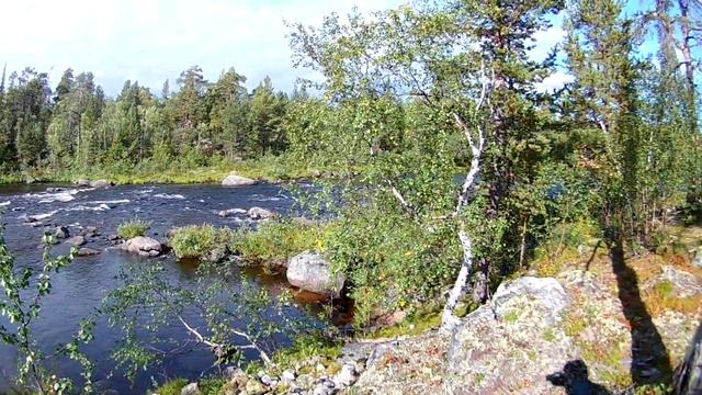 Напарник поймал семгу. Экстремальная переправа на спине у Славы. Первые белые грибы за 10 лет. смотреть онлайн