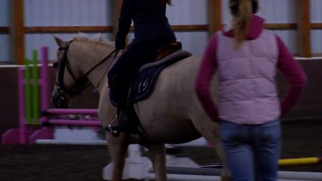 Horse Insurance from Farm Family | Canterbury Stables смотреть онлайн