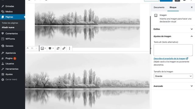 3.1. Cómo añadir y modificar imágenes con el nuevo editor de WordPress смотреть онлайн