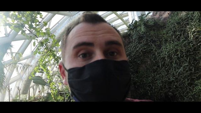 Tropical Butterfly Garden Konya VLOG - Travel Series смотреть онлайн