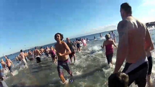 Penguin Plunge 2015 смотреть онлайн