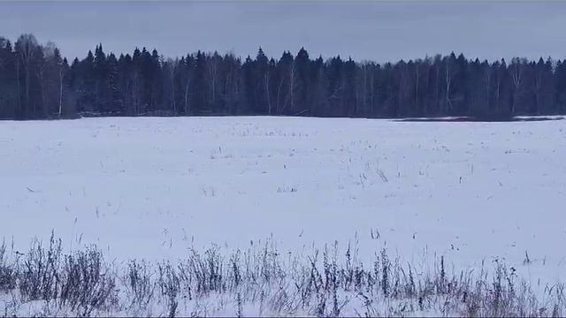 Видео 1169 смотреть онлайн
