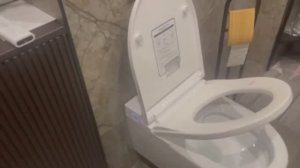 Обзор-отзыв от клиента на унитаз-биде Brunnen Wal BW-2401 Auto open/close электронный умный унитаз