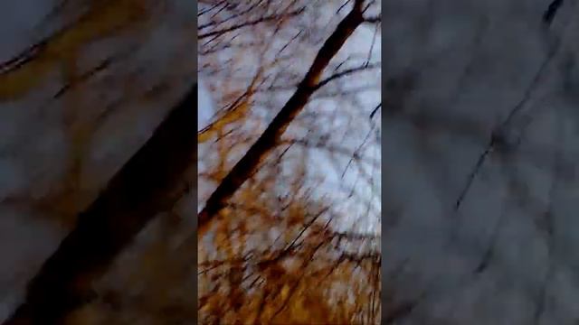 Мы нашли синюю ножку !!!??? смотреть онлайн