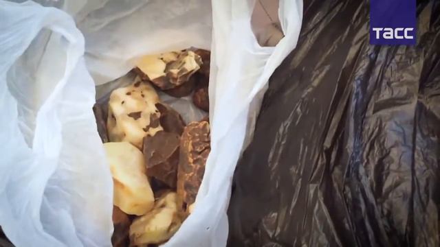 Уральские таможенники задержали более 50 кг. янтаря смотреть онлайн