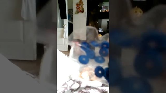 Аппликация из пайеток и страх #1 смотреть онлайн
