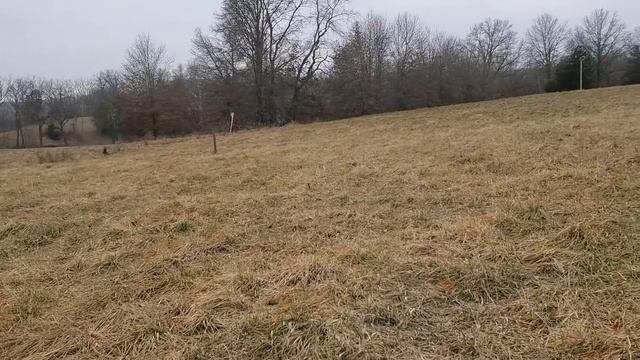 Greg details extending your winter stockpile grazing till spring. смотреть онлайн