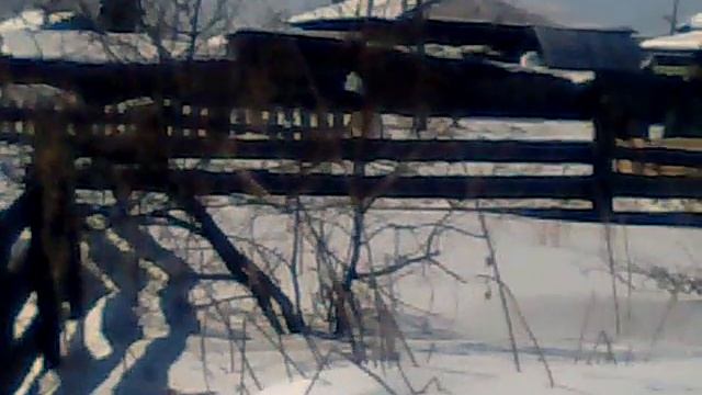 Езда верхом на лошади смотреть онлайн