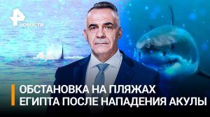 «Челюсти» по-египетски: акула съела россиянина в Хургаде / Итоги недели
