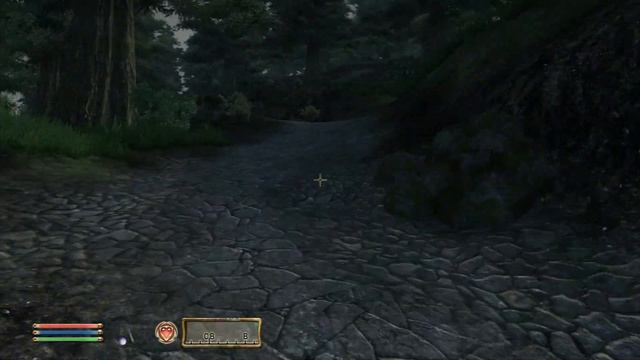 TES IV - OBLIVION - Рекомендация в Лейавине