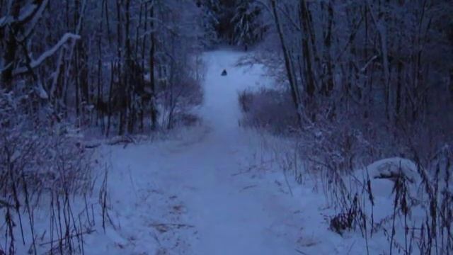 Шуваловский парк 5 смотреть онлайн