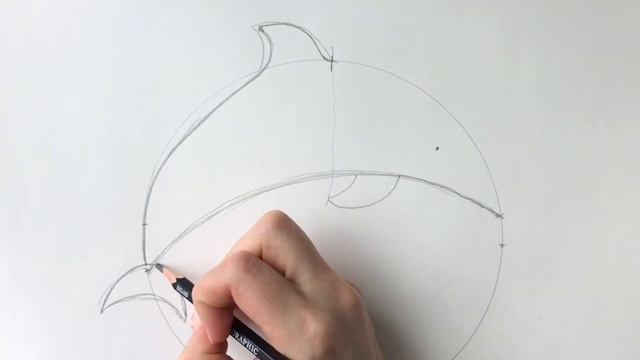 Beginners how to draw a dolphin step by step смотреть онлайн