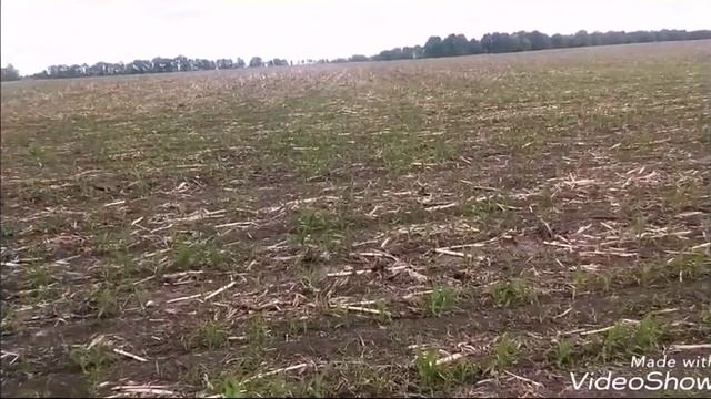Мощний арбалет своїми руками с ресори. смотреть онлайн