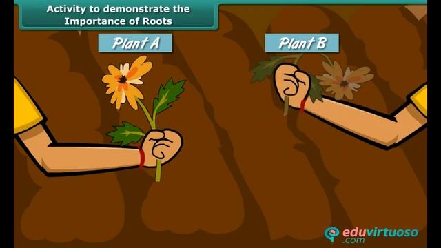 Getting to know plants | Class 6 | Science | CBSE | ICSE | FREE Tutorial смотреть онлайн